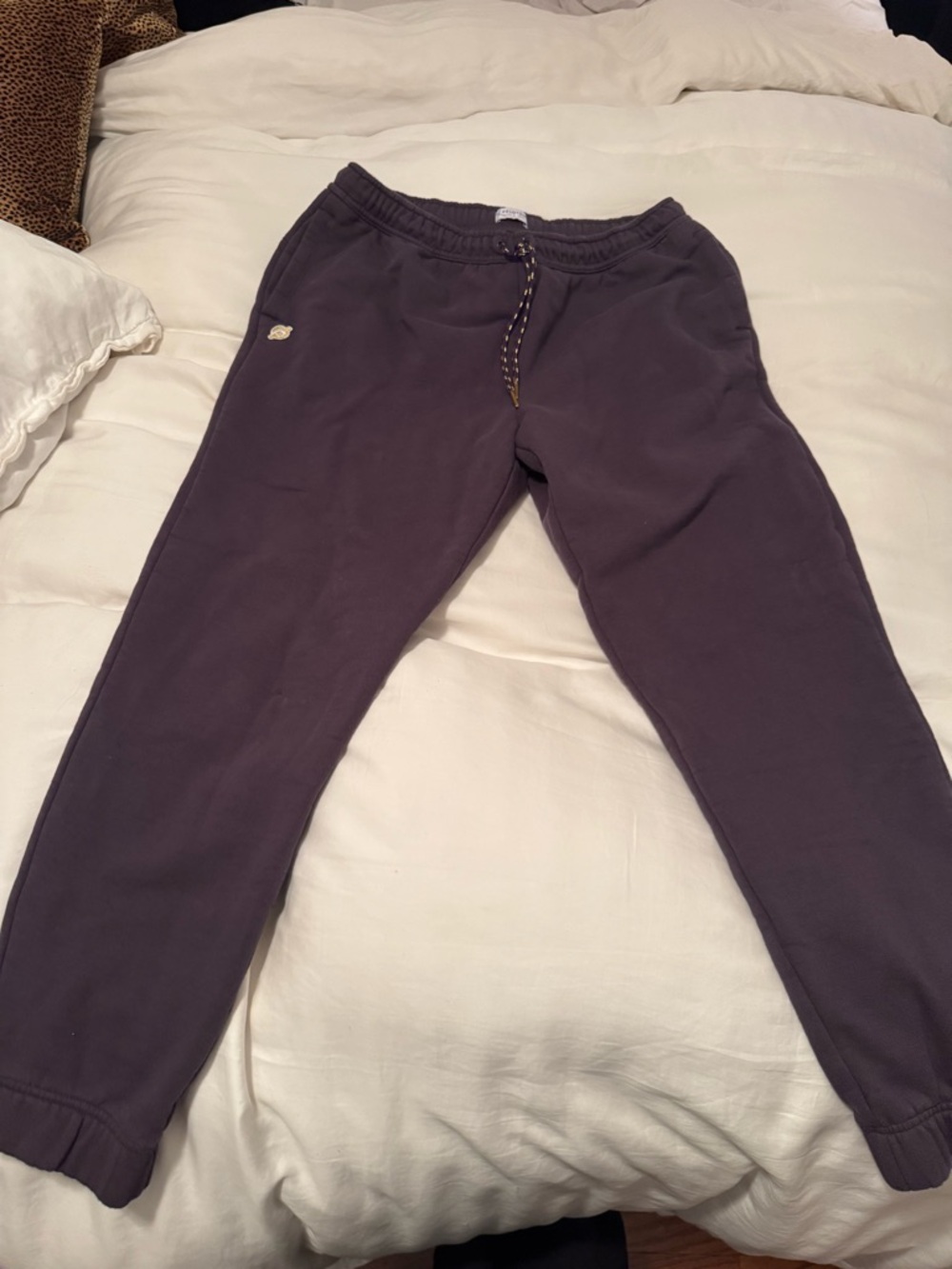 peloton Jogger Pants in Dark Gray/purple